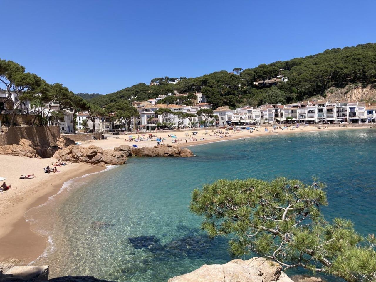 Tamariu Roca Rubia 1- Very Cozy, Terrace And Balcony With Stunning Views Exteriör bild